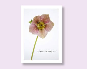 CARD FOR GARDENER | Birthday Card for Mum | Card for Nan | Botanical Greeting Card | Flower Birthday Card | Floral Card | Flower Card