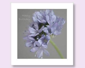 FLOWER BIRTHDAY CARD For Mum | Flower Photo Card | Floral Birthday Card | Blue Birthday Card | Floral Photo Greeting Card