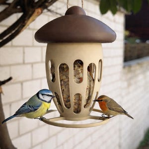 May include: A hanging bird feeder with a brown top and a beige body, filled with birdseed. Two small birds, a blue tit and a robin, perch on the feeder. The feeder hangs from a tree branch against a white brick wall.