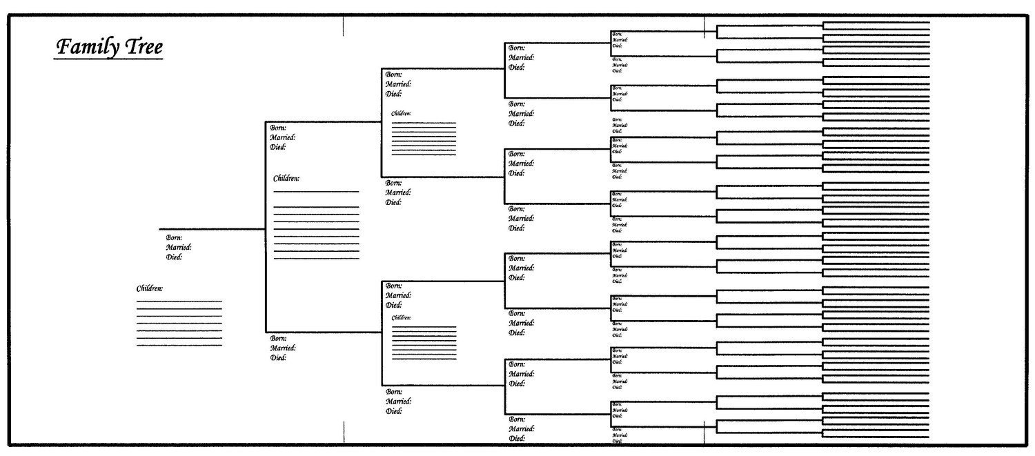 10 Pack of Large Family Tree Charts Bracket Style 18 X 24 
