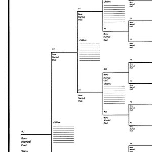 5 Pack of Large Family Tree Charts Bracket Style 18