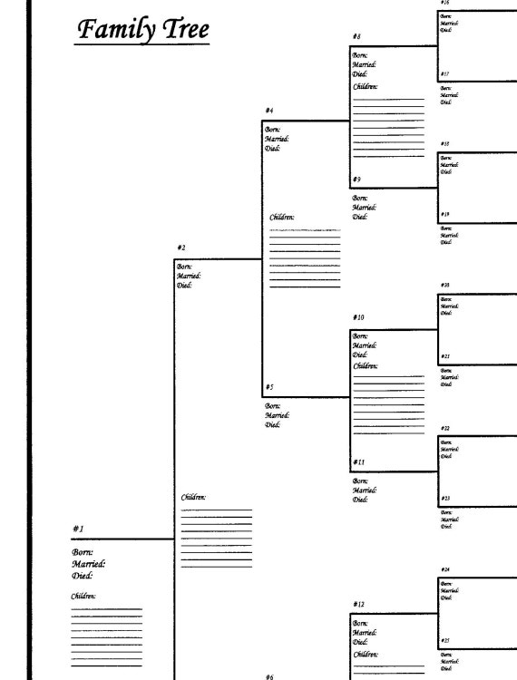 10 Pack of Large Family Tree Charts Bracket Style 18 X 24 