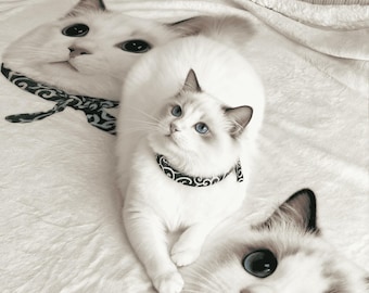 ペットの顔がプリントされたカスタム猫写真ブランケット、猫好きの方へのパーソナライズフリースブランケット、飼い主さんへのかわいいふわふわ猫ギフト、柔らかくて心地よい猫ブランケット