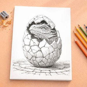 May include: A detailed black and white drawing of a dragon hatching from a cracked egg. The drawing is on a white pad of paper, with colored pencils, a pencil sharpener, and an eraser nearby. The pencils are in shades of orange, yellow, green, and blue.