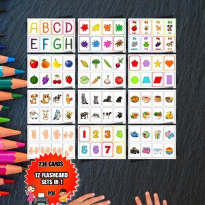 Paquete de tarjetas didácticas para la educación infantil (12 en 1) / Tarjetas de actividades para niños pequeños