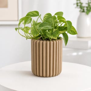 Puede incluir: Una maceta cilíndrica con textura de costillas verticales en un color marrón claro sólido. La maceta contiene una planta pothos verde exuberante con hojas en forma de corazón que tienen una sutil variación amarilla.