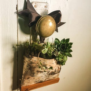 Vaso da parete in corteccia di betulla - Vaso sospeso a pizzico