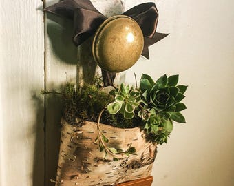 Wandpot berkenbast - hangende knijppot