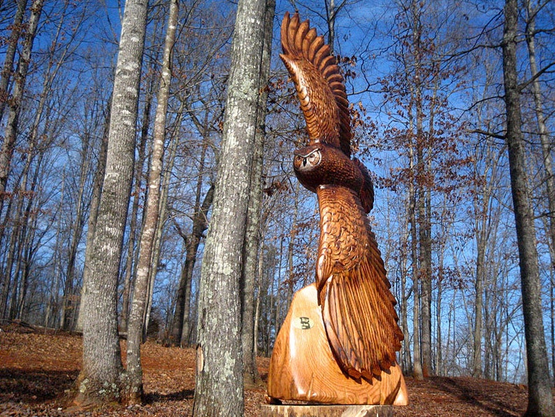 archimedes owl archimedes owl