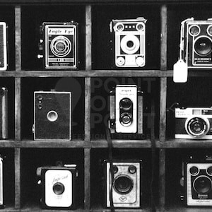 Vintage Cameras Photo Print, "Camera Cubby". Film Photography Wall Art, Black and White.
