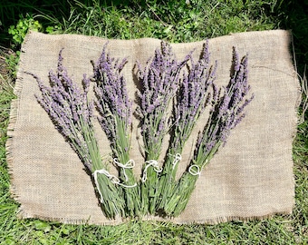Buquê de Lavanda Francesa Orgânica Seca - Ramo de Lavanda Cultivada em Fazenda de Vermont