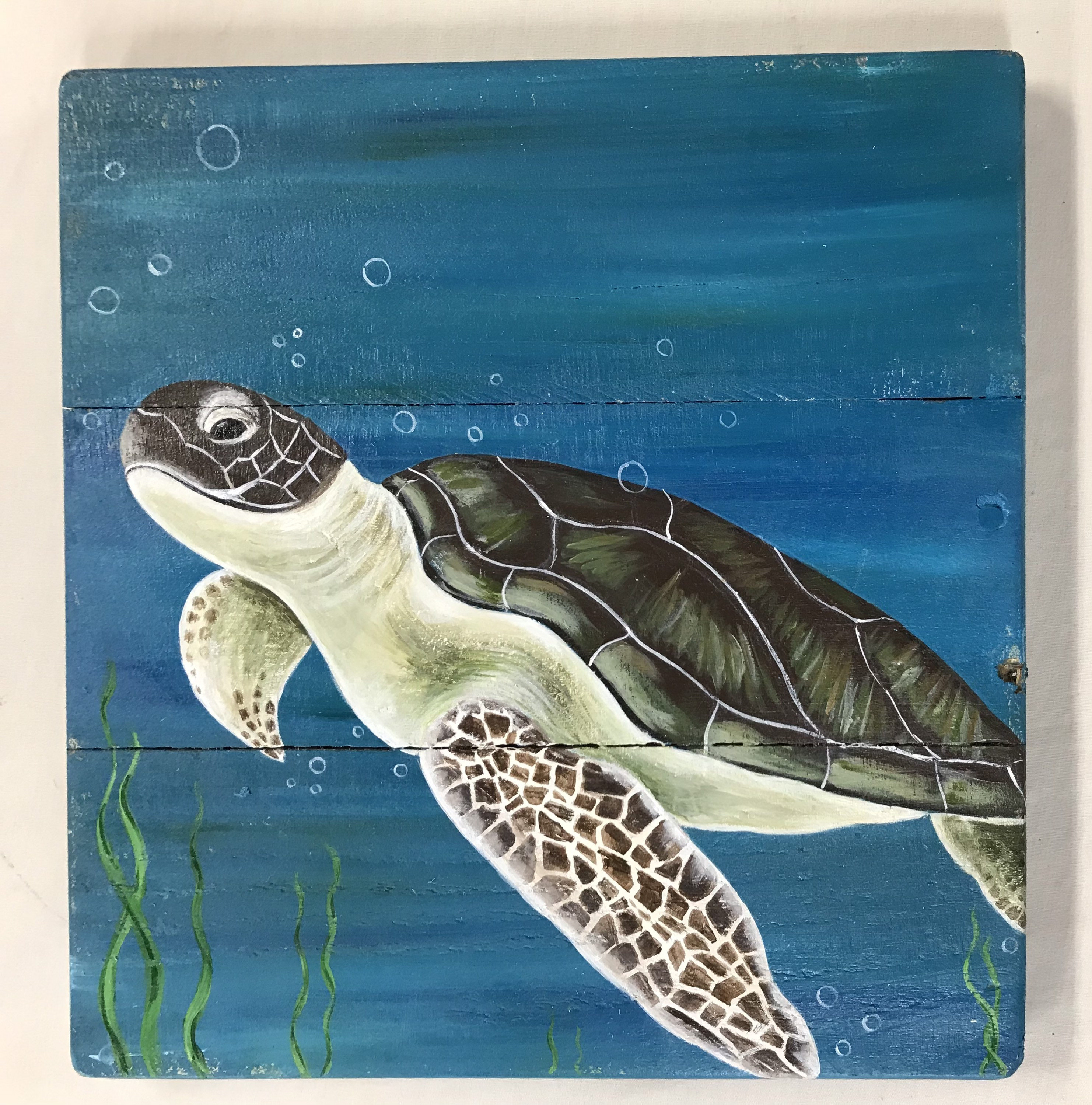 Sea Turtle Painting on Wood, Turtle Painting, Sea Turtle Art, Turtle