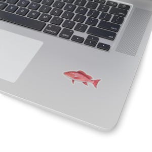 Pegatina de pargo, pegatina de pesca, pegatina de pargo rojo, pargo rojo, pegatina duradera, pegatina de pescador, pegatina resistente al agua