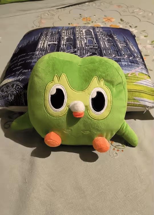 Duolingo plush - Etsy 日本