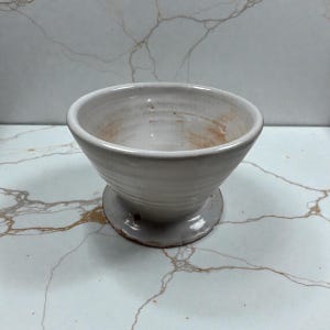 Green onions/Mint/Cactus/Succlulents Planter