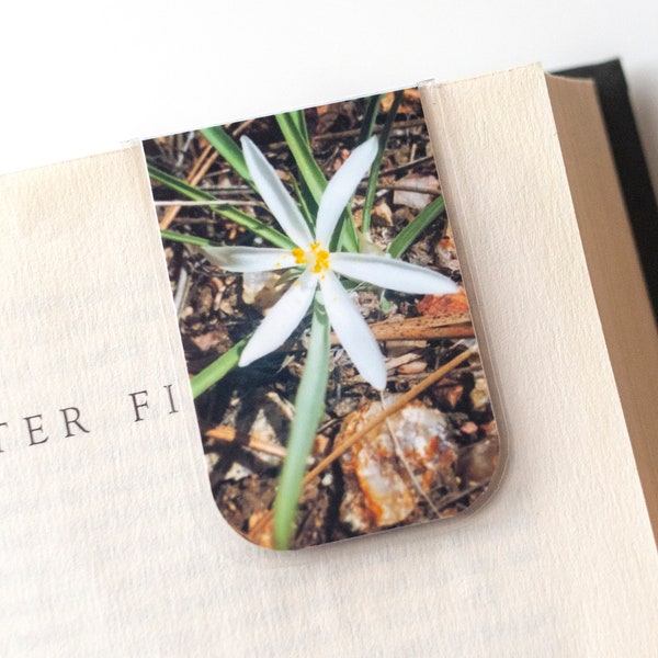 Magnetic Bookmark, Lily Gift, Colorado Photo, USA, Travel, Bookish, Sand Lily, Gift Under 5, Photograph Bookmark, Photo Gift, Summer Gift