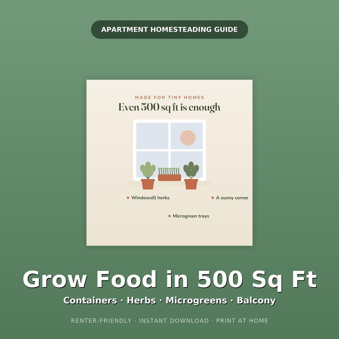 Apartment Homesteading Guide, Small Space Container Gardening (PDF ...