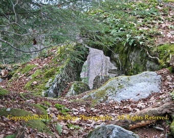 God's Artwork - Bear Heaven - West Virginia