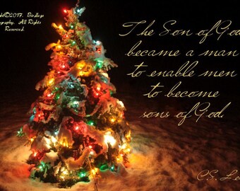Oh Christmas Tree with Lewis Quote