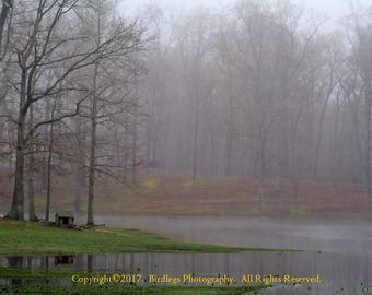 Misty Morn - Prince George, Virginia