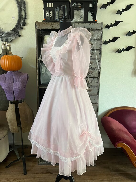 Vintage 1970's Pale Pink Dress With Ruffled Accents Small - Etsy Canada