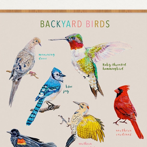 Backyard Birds of Canada, Watercolour Giclee Print, Field Guide