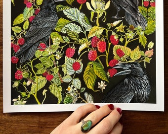 Giclée, Ravens and Raspberries, Botanical Watercolour Illustration