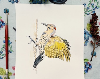 Northern Flicker, Watercolour and ink painting, Backyard Birds