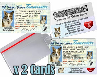 Licencia de conducir personalizada para mascotas (Tennessee), placa de identificación para perros y gatos (2 tarjetas)