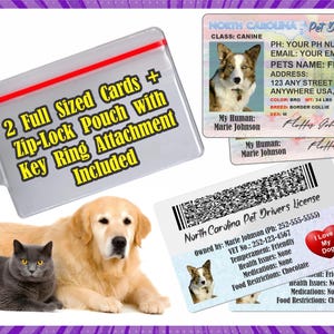Peut inclure: Une pochette transparente avec fermeture &eacute;clair et porte-cl&eacute;s contenant deux cartes grand format. L'image pr&eacute;sente &eacute;galement un permis de conduire pour animaux de compagnie, un golden retriever, un chat gris et un chien.
