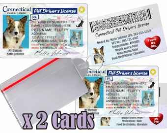 Licencia de conducir personalizada para mascotas - Connecticut, placa de identificación para perros y gatos (2 tarjetas)