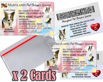 Licencia de conducir personalizada para mascotas - Maryland, placa de identificación para perros y gatos (2 tarjetas)