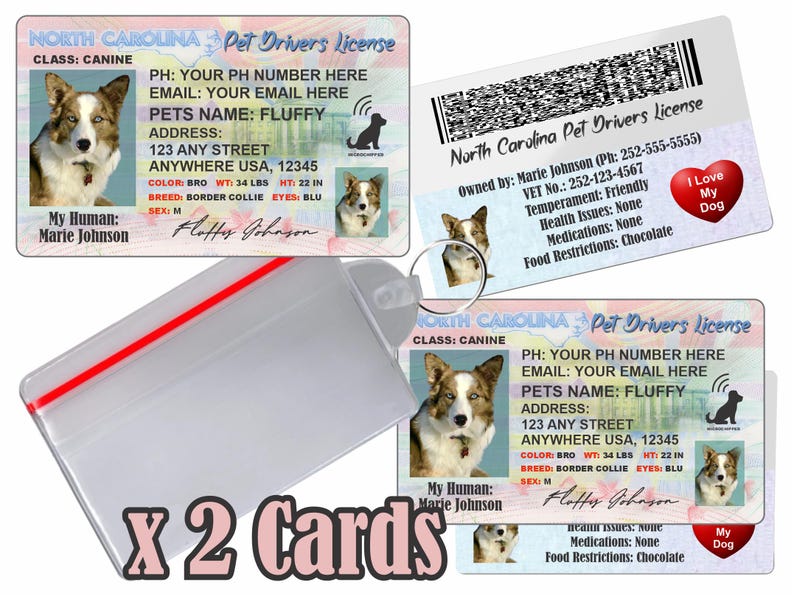 Peut inclure: Deux permis de conduire pour animaux de compagnie avec une photo d'un chien Border Collie nomm&eacute; Fluffy. Les permis incluent les informations du propri&eacute;taire, un code-barres et le texte "I Love My Dog". Ils sont dans une pochette en plastique transparent.