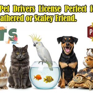 Peut inclure: Image pr&eacute;sentant divers animaux de compagnie : lapin, chat, perroquet, chien, cochons d'Inde, tortue, iguane et grenouille. Le texte indique : "Custom Pet Drivers License Perfect for Every Furry, Feathered or Scaley Friend."