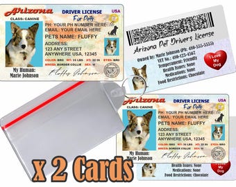 Permis de conduire personnalisé pour animal de compagnie - Arizona, médaille d'identité pour chien et chat (2 cartes)