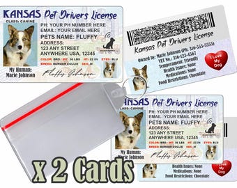 Personalisierter Haustier Führerschein - Kansas, Hunde Katzenmarke (2 Karten)