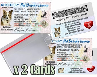Licencia de conducir personalizada para mascotas - Kentucky, placa de identificación para perros y gatos (2 tarjetas)