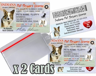 Permis de conduire personnalisé pour animal de compagnie - Indiana, médaille d'identité pour chien et chat (2 cartes)