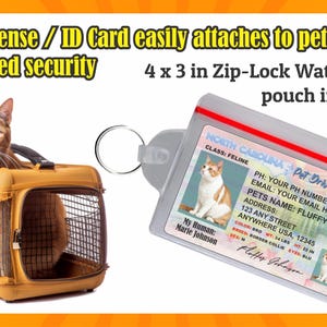 Peut inclure: Un chat roux dans une cage de transport jaune &agrave; c&ocirc;t&eacute; d'une carte d'identification pour animaux de compagnie dans une pochette zipp&eacute;e transparente. La carte d'identit&eacute; est intitul&eacute;e "North Carolina Pet Driver's License" et comprend la photo du chat et les informations du propri&eacute;taire.