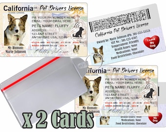 Permis de conduire personnalisé pour animal de compagnie - Californie, médaille d'identité pour chien et chat (2 cartes)