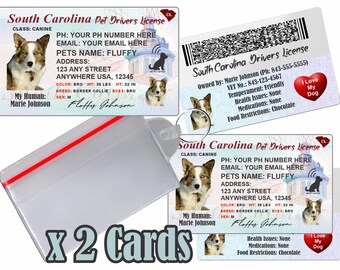 Licencia de conducir personalizada para mascotas - Carolina del Sur, placa de identificación para perros y gatos (2 tarjetas)