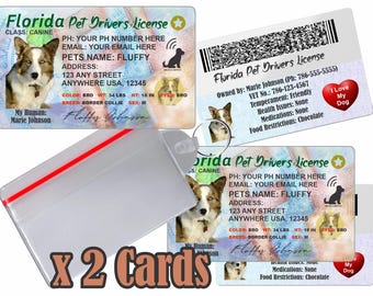 Licencia de conducir personalizada para mascotas - Florida, placa de identificación para perros y gatos (2 tarjetas)