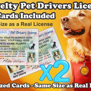 Peut inclure: Permis de conduire pour animaux de compagnie fantaisie, comprenant deux cartes. Les cartes sont de la m&ecirc;me taille qu'un vrai permis. L'image montre un chien golden retriever et un permis avec les informations du chien.
