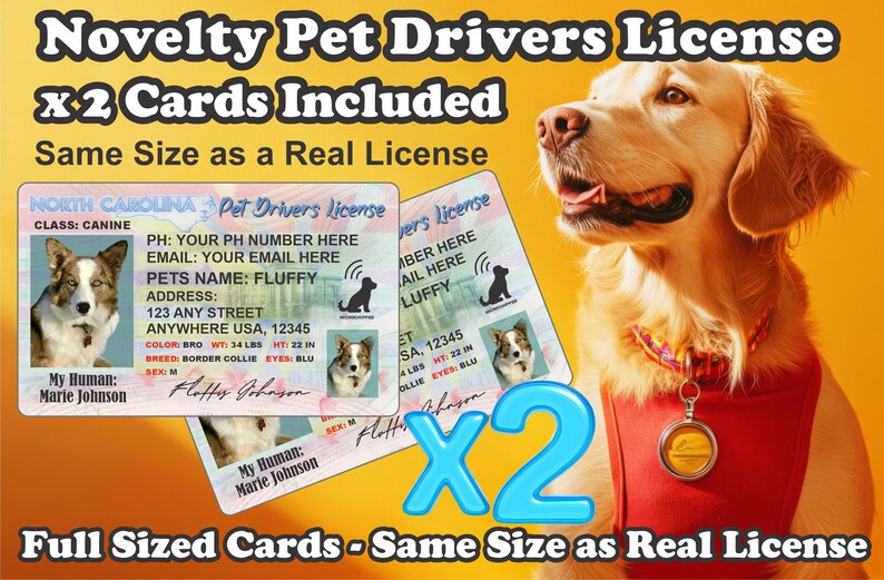 Peut inclure: Permis de conduire pour animaux de compagnie fantaisie, comprenant deux cartes. Les cartes sont de la m&ecirc;me taille qu'un vrai permis. L'image montre un chien golden retriever et un permis avec les informations du chien.