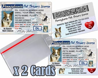 Licencia de conducir personalizada para mascotas - Pensilvania, placa de identificación para perros y gatos (2 tarjetas)