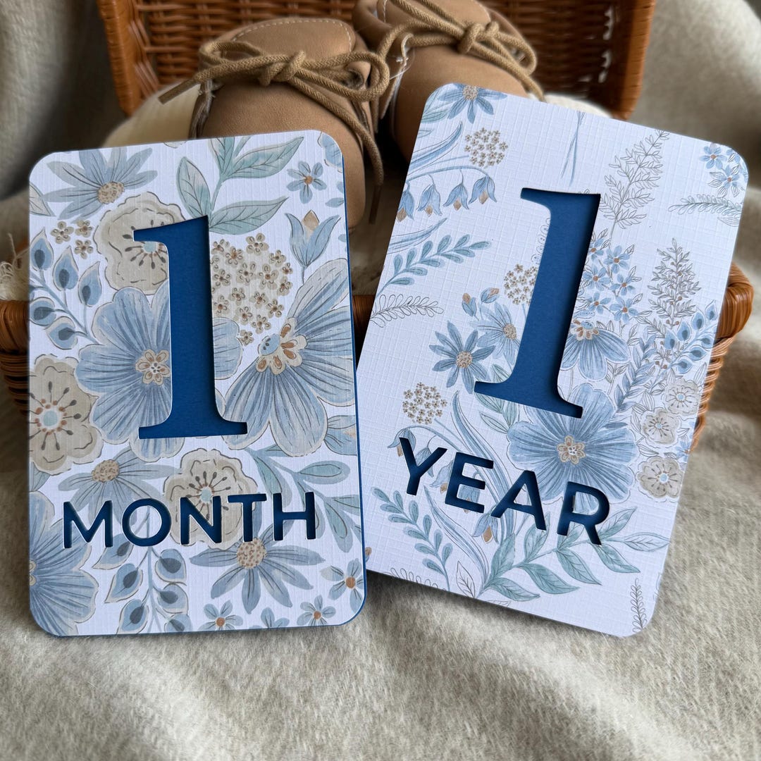 Baby Boy Milestone Cards 3D, Monthly Baby Milestones, Blue Floral ...