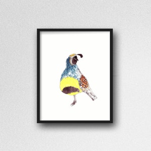 Quail Bird Instant Download Digital Art Print. Bird Wall Art. Wild Life Art Print.