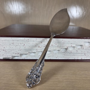 May include: A silver serving spoon with an ornate handle, resting against a large book with a burgundy cover and white pages. The spoon's handle features detailed floral patterns. The book has a series of cut-out notches along the edge.