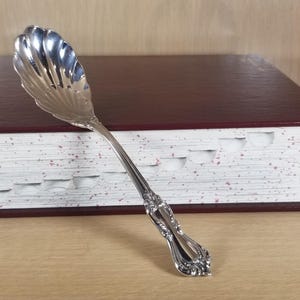 May include: A silver serving spoon with a shell-shaped bowl and ornate handle rests against a burgundy book. The spoon's bowl has a scalloped design, and the handle features detailed floral patterns. The book has a dark red cover and white pages.