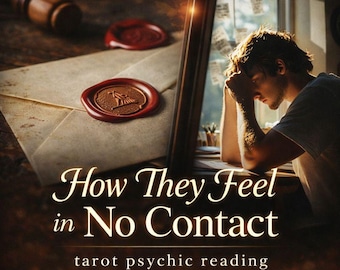 How They Feel in No Contact – Psychic Tarot Reading